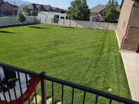yard10.jpg