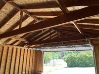 IMG_6620.jpg