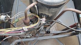 20230620_175817.jpg 20230620_175817.jpg