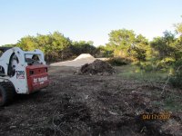 IMG_1393.jpg