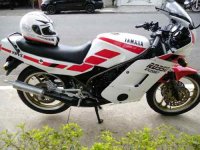 rd-350-89-linda-troco-rdrdztdrcbxxtxrnxrnxcbcgxtz_MLB-O-3164054808_092012.jpg