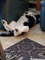 SLEEPING.jpg