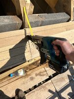 IMG_1239.jpeg IMG_1239.jpeg