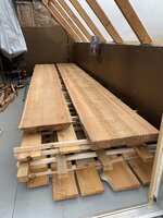 IMG_7203.jpeg