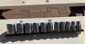 IMG_3555.jpeg