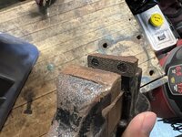 IMG_0786.jpeg