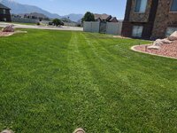 lawn.jpg lawn.jpg