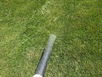 lawn2.jpg lawn2.jpg