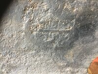IMG_1696.jpeg