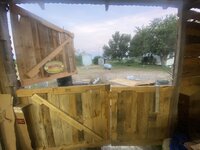 IMG_7087.jpeg