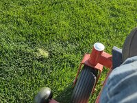 lawn7.jpg lawn7.jpg