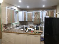 IMG_2239.jpeg