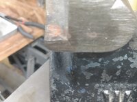 IMG_20230628_210658525.jpg