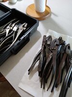IMG_20230409_142931.jpg