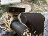 IMG_5713.jpeg
