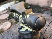 IMG_5900.jpeg
