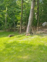 IMG_20230701_093940804.jpg