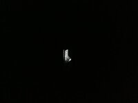 F024412E-4004-4BED-87DD-F1F8411A5557.jpeg F024412E-4004-4BED-87DD-F1F8411A5557.jpeg