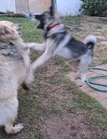 20230630_062232.jpg 20230630_062232.jpg