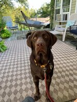 IMG_8927.jpeg