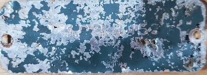 IMG_2442.jpeg