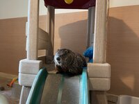 IMG_5504.jpeg