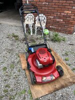 IMG_5824.jpeg IMG_5824.jpeg