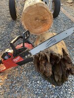 IMG_7506.jpeg