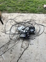 IMG_5880.jpeg IMG_5880.jpeg