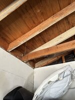 IMG_4251.JPG