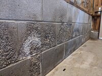 PXL_20230710_235220413.jpg