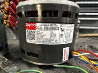 IMG_4437.jpeg IMG_4437.jpeg
