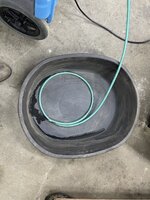 IMG_5553.jpeg