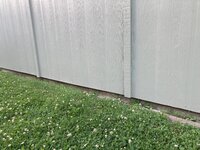 IMG_9570.jpeg