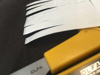 CEC9DB0C-9510-412C-BDCF-2CEB1B77C257.jpeg
