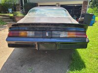 20230714_140014.jpg