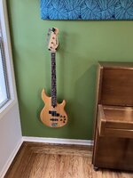 IMG_7845.jpeg IMG_7845.jpeg