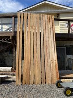 IMG_7645.jpeg