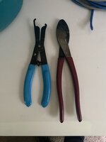 IMG_1353.jpeg