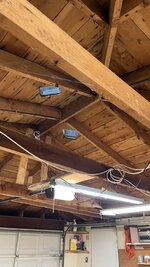 IMG_3968.jpeg