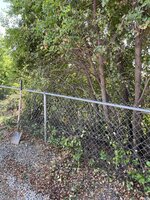 IMG_5997.jpg