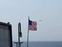 53029998134_b2eaa0ab4c_h.jpg