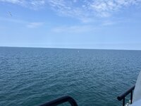 53059273262_7d3aeea492_h.jpg