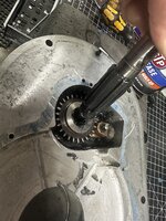 IMG_4783.jpeg IMG_4783.jpeg