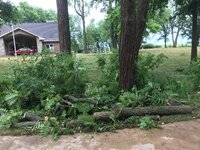 IMG_5183.jpg IMG_5183.jpg