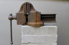 IMG_1320.jpeg