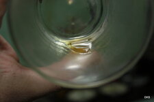IMG_1144.jpeg IMG_1144.jpeg