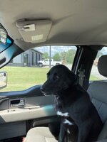vet trip 08-18-2022.jpg