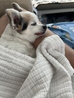 IMG_6877.jpeg