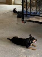 IMG_2707.jpeg